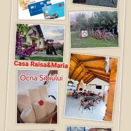 Casa Raisa & Maria Hotel Ocna Sibiului Bagian luar foto