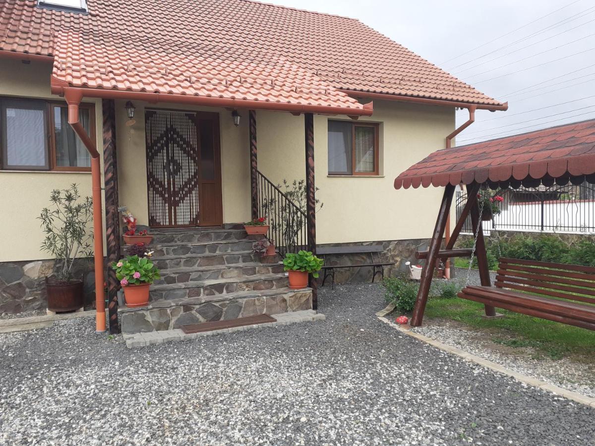 Casa Raisa & Maria Hotel Ocna Sibiului Bagian luar foto