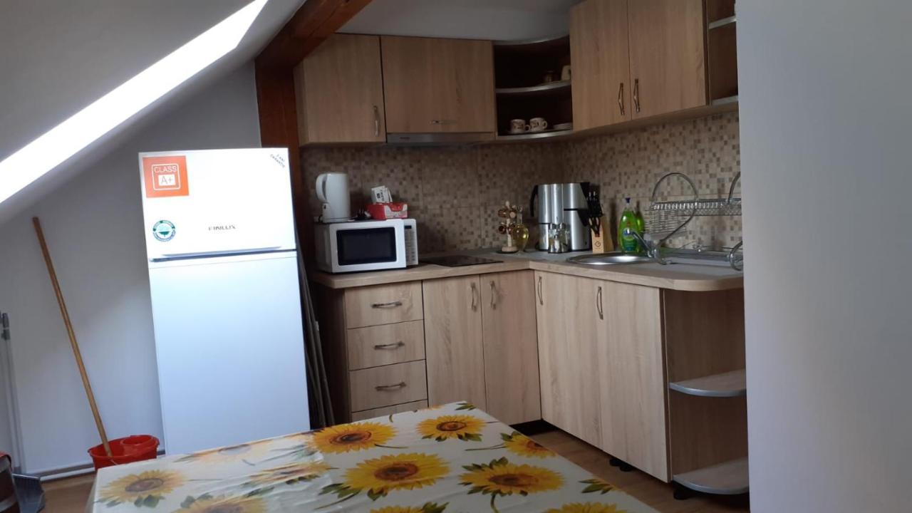 Casa Raisa & Maria Hotel Ocna Sibiului Bagian luar foto