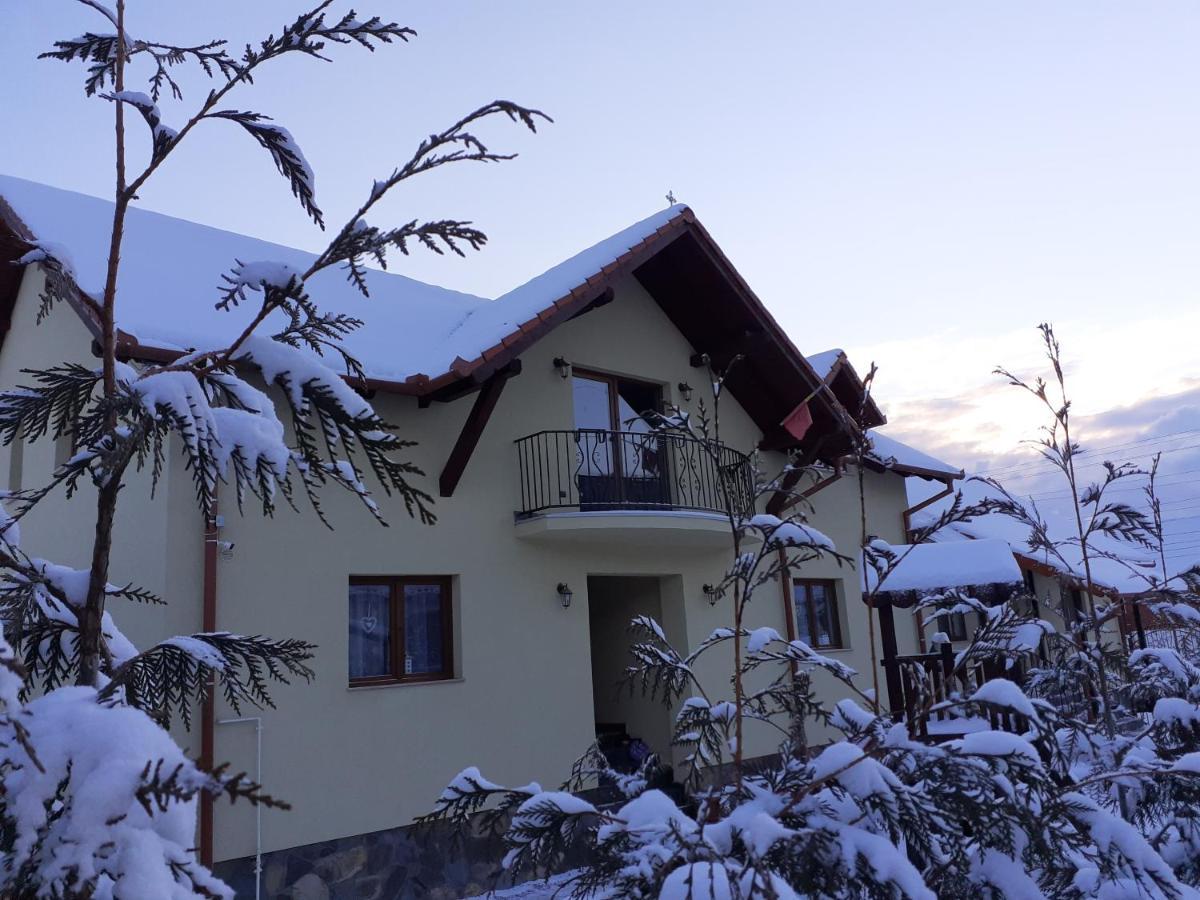 Casa Raisa & Maria Hotel Ocna Sibiului Bagian luar foto