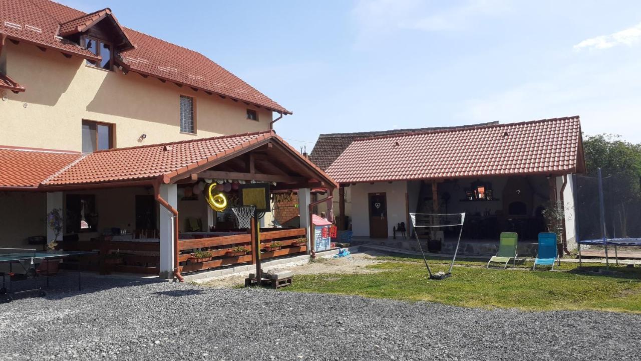 Casa Raisa & Maria Hotel Ocna Sibiului Bagian luar foto