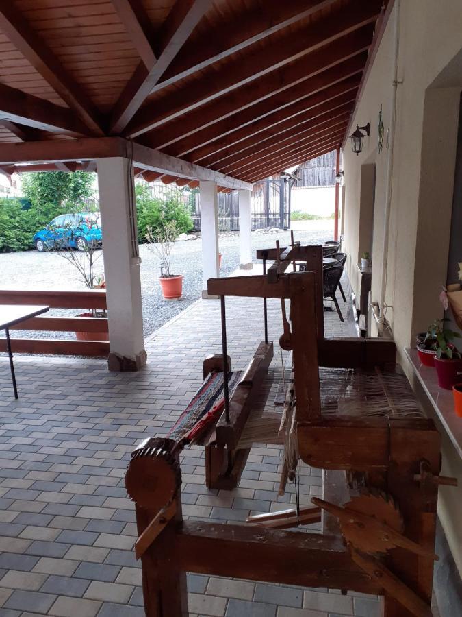 Casa Raisa & Maria Hotel Ocna Sibiului Bagian luar foto