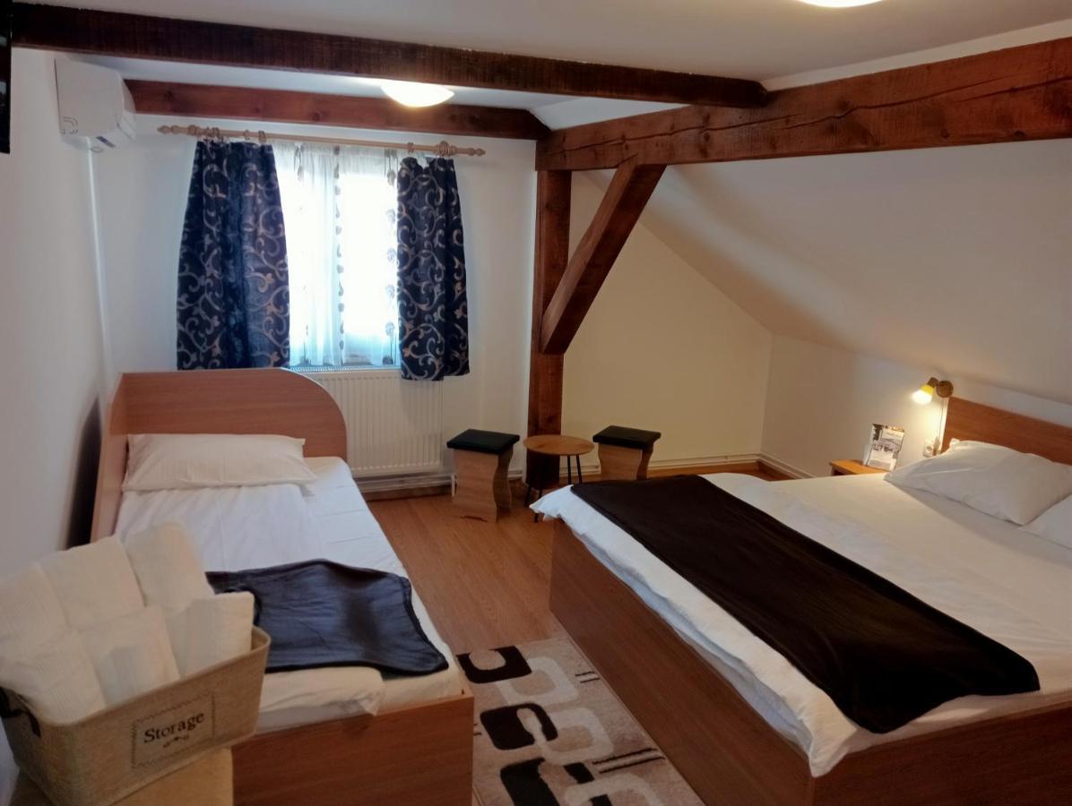Casa Raisa & Maria Hotel Ocna Sibiului Bagian luar foto