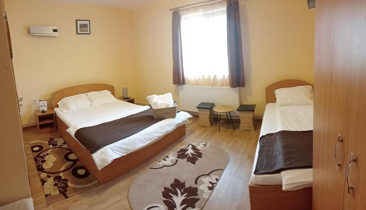 Casa Raisa & Maria Hotel Ocna Sibiului Bagian luar foto