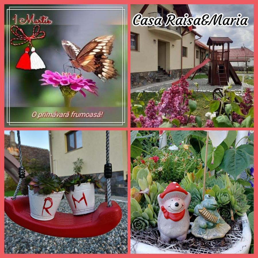 Casa Raisa & Maria Hotel Ocna Sibiului Bagian luar foto