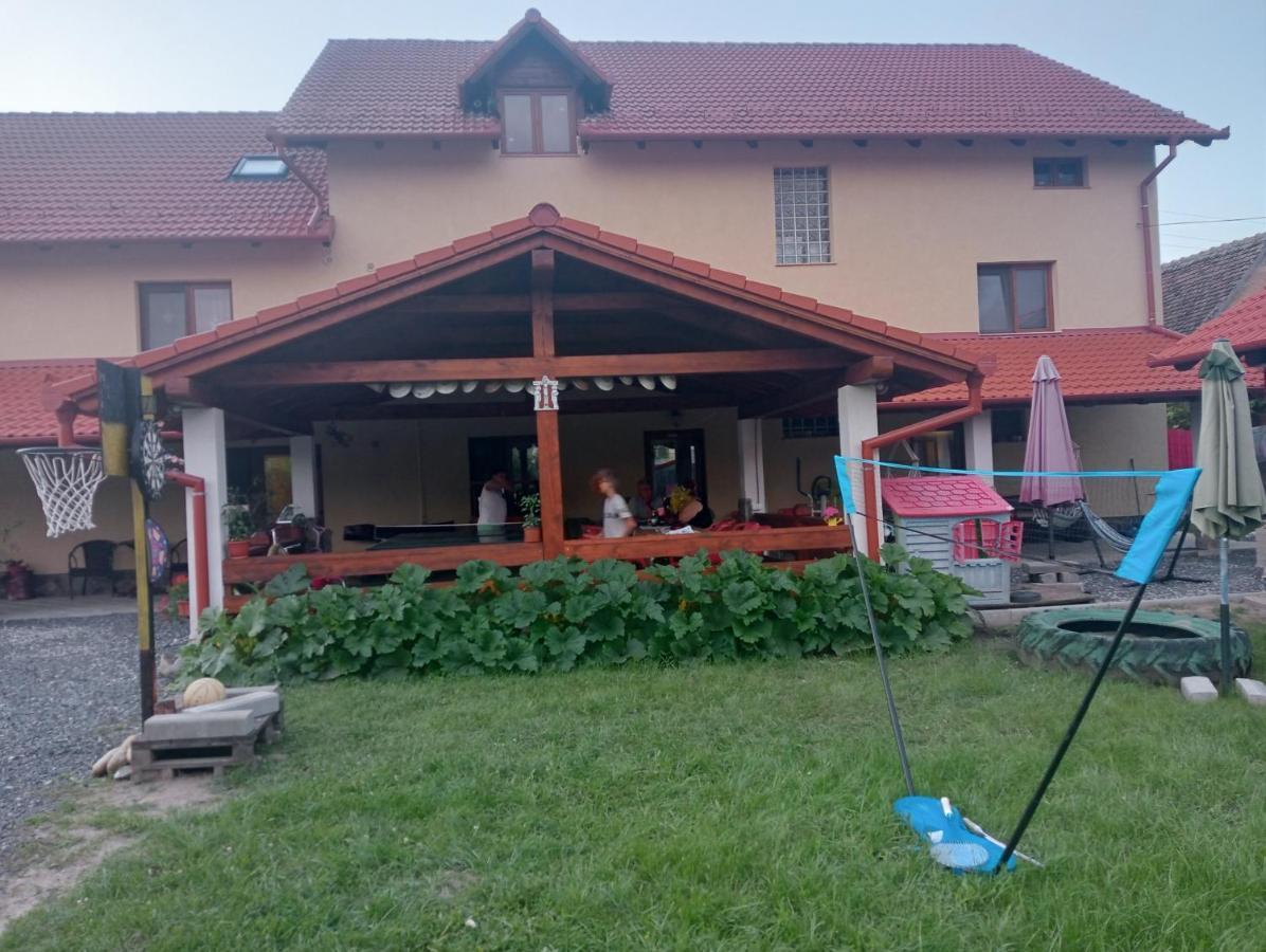 Casa Raisa & Maria Hotel Ocna Sibiului Bagian luar foto