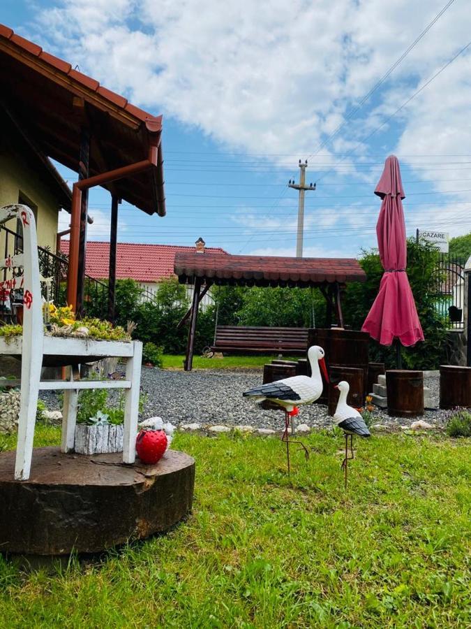 Casa Raisa & Maria Hotel Ocna Sibiului Bagian luar foto