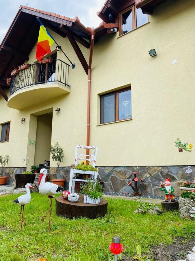 Casa Raisa & Maria Hotel Ocna Sibiului Bagian luar foto